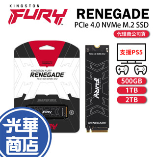 【支援PS5】Kingston 金士頓 FURY Renegade 1TB 2TB 500GB SSD固態硬碟 SFYR