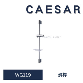 caesar 凱撒 WG119 滑桿 伸降桿 蓮蓬頭架 蓮蓬頭 淋浴龍頭