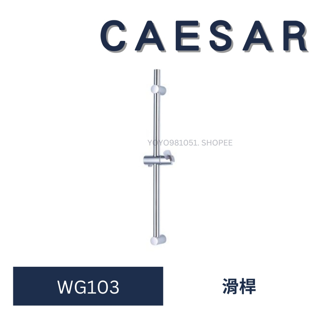 caesar 凱撒 WG103 滑桿 伸降桿 蓮蓬頭架  蓮蓬頭 淋浴龍頭