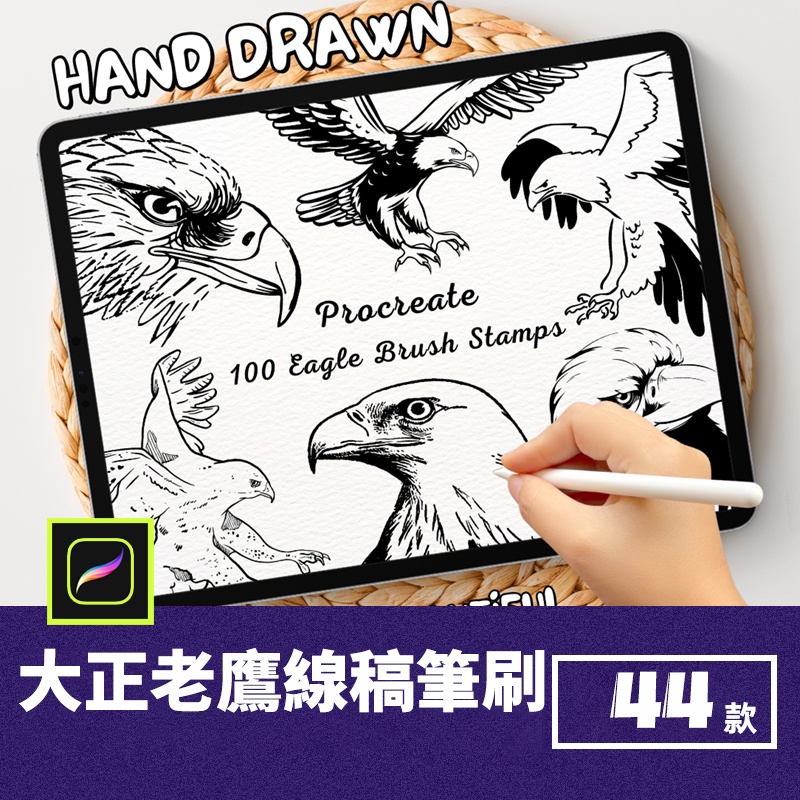 台灣出貨 大正 44 老鷹手繪 線稿筆刷 日本 插圖設計 繪畫筆