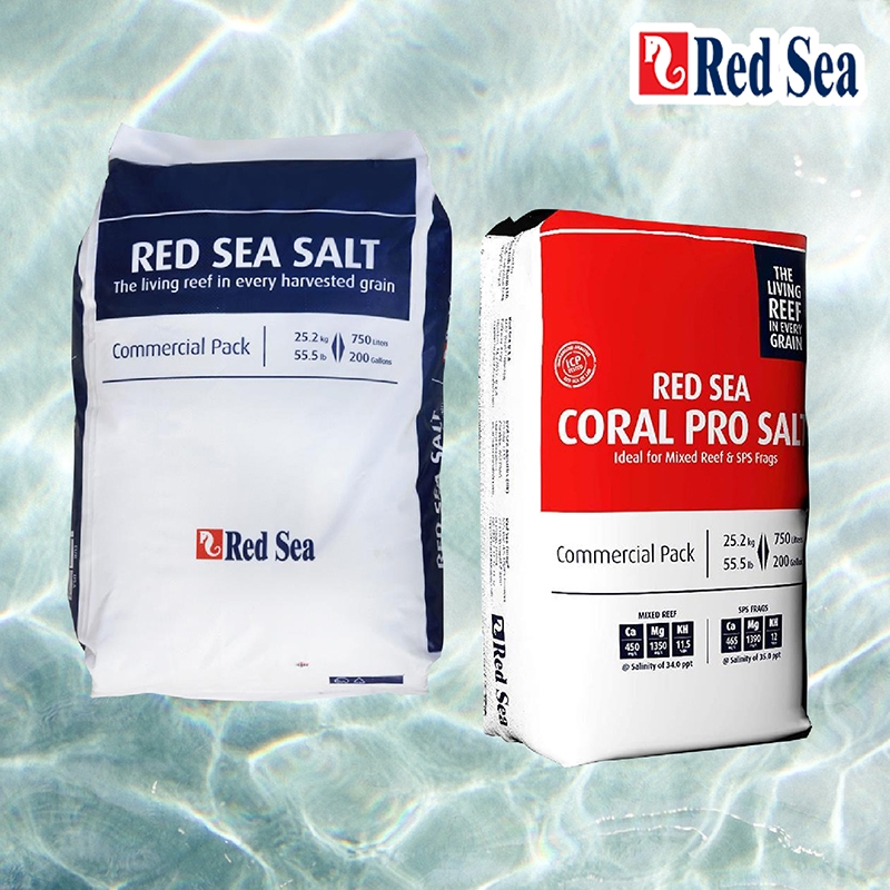 🔥散裝24H出貨🔥 Red Sea 紅海 增色鹽 海水素 海鹽 珊瑚鹽 海水鹽 7KG/22KG 紅海增色鹽 成長鹽