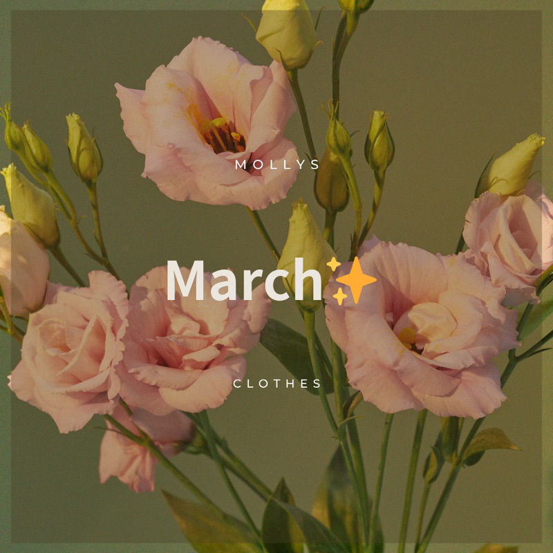 3月份 下單處（March)✨❤️