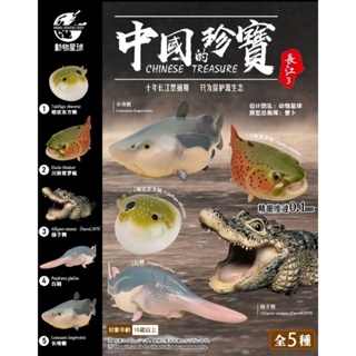 中國珍寶 長江3 張嘴揚子鱷 鱷魚 模型 手辦 已絕版 現貨不多