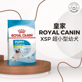 棉花寵物❤️皇家一般 XSP 超小型幼犬 1.5公斤