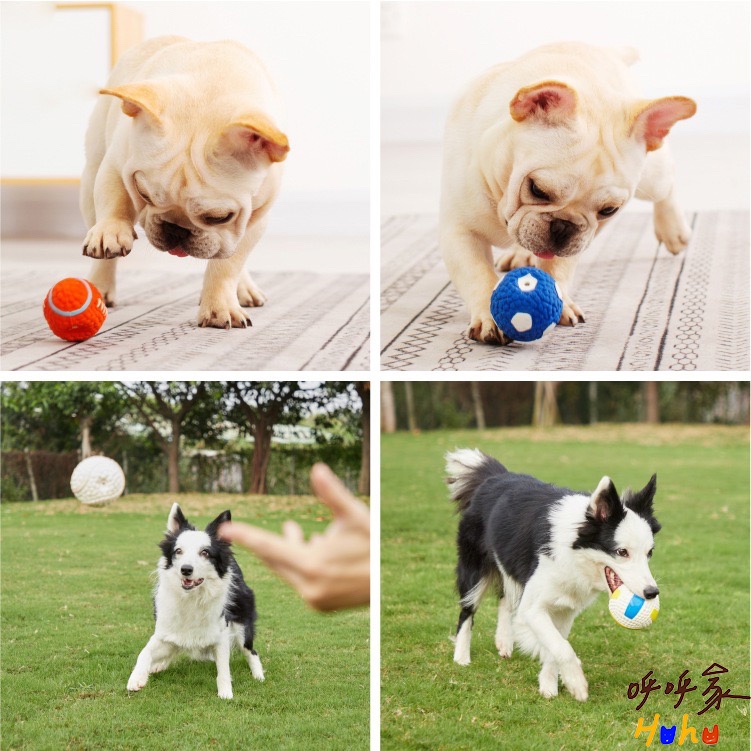 台灣現貨24H出貨🙌🏻 推薦🔥狗狗的各種球類運動 狗狗發聲球 乳膠球
