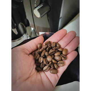 現貨 深焙義式咖啡豆1kg