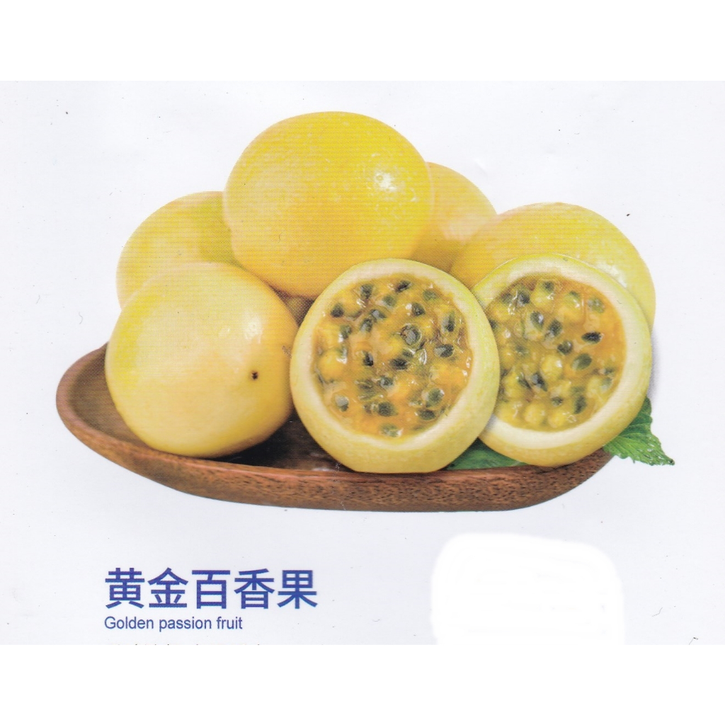 【水果種子S473】黃金百香果~單果平均重80~100公克。果汁含量高，生長旺盛，開花多、產量高。