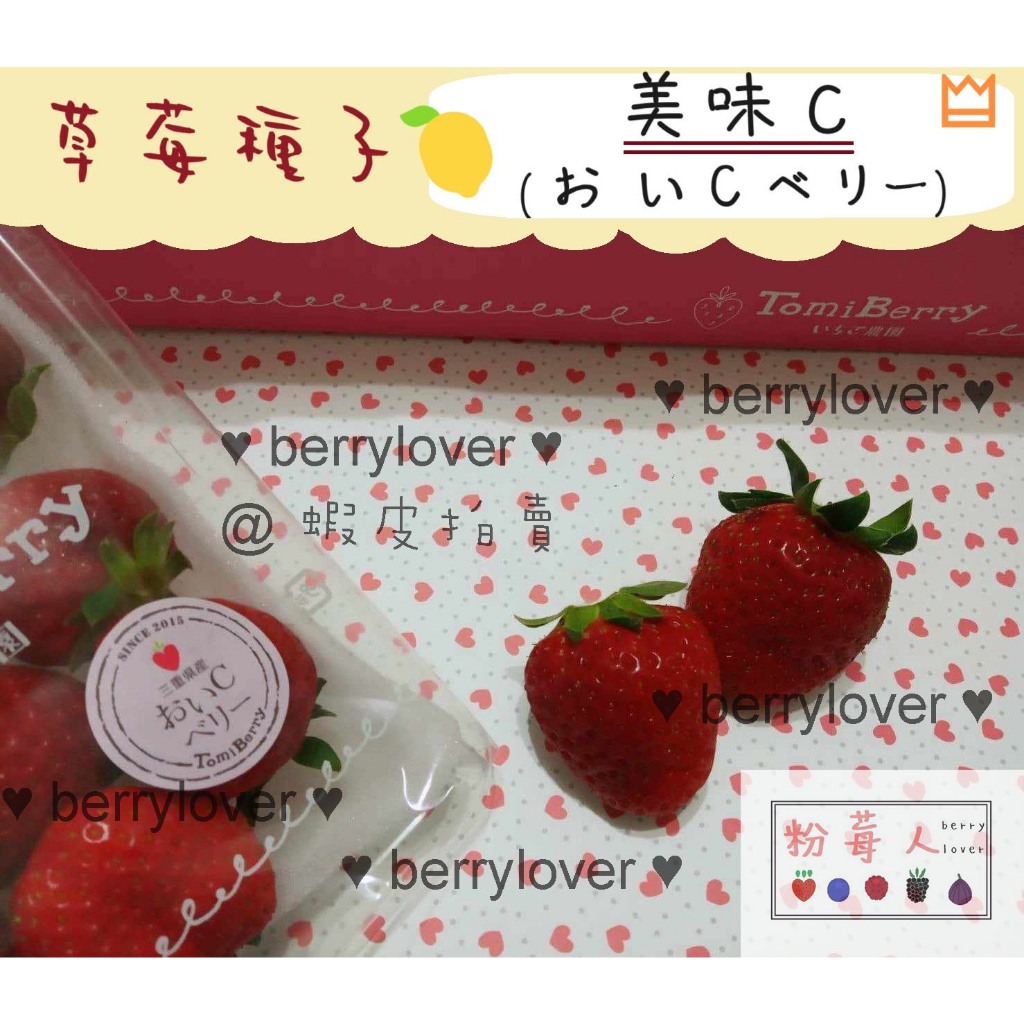 ❤️粉莓人🖤日本草莓  草莓種子 黑草莓 美味C