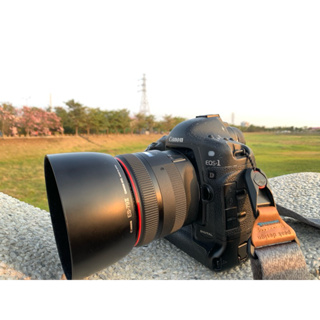Canon EOS-1D 單機身ccd