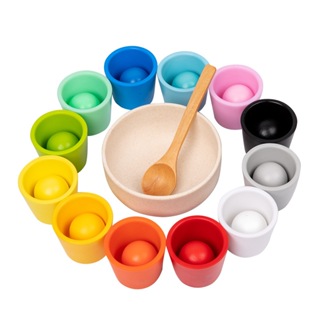 預購商品 顏色分類杯 顏色認知 寶寶啟蒙 幼兒教具 12色8色顏色分類杯幼兒園桌遊 木質玩具 益智多功能玩具