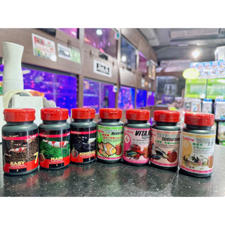 《傳奇水族》FishLive 樂樂魚 海水小丑魚 抗病 水晶蝦 幼蝦成長 短鯛 燈科 揚色 紅蓮燈 孔雀魚 維他命漢堡