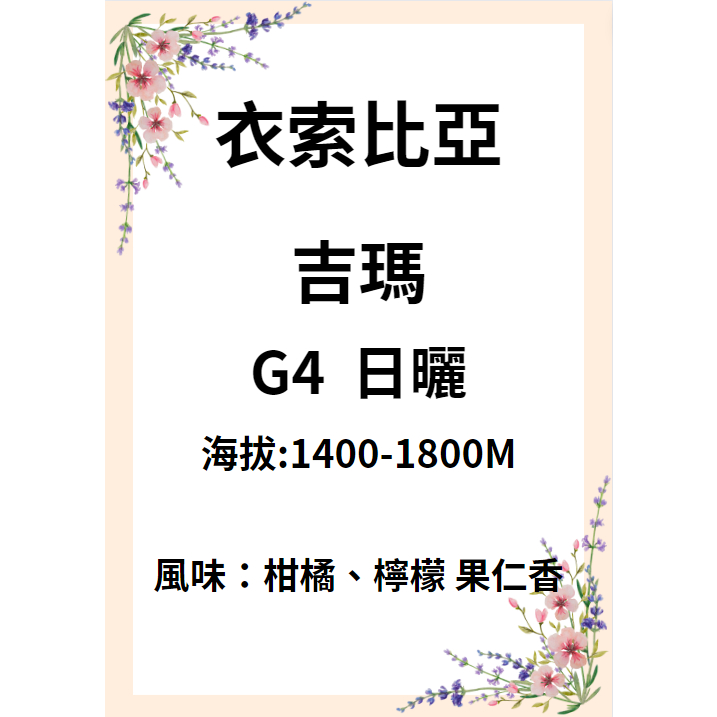 【環群咖啡生豆直送】M06 衣索比亞 吉瑪 G4 日曬 咖啡生豆 咖啡 生豆 咖啡濾紙 濾掛式咖啡 咖啡壺