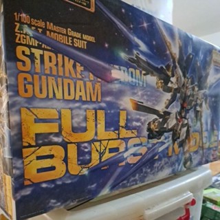 SEED DESTINY MG 1/100 STRIKE FREEDOM 攻擊自由鋼彈動力組裝模型