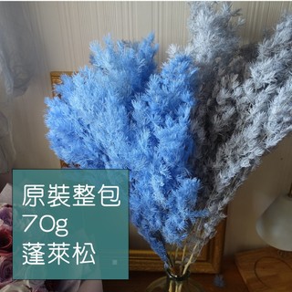 My Wonderful 原裝整包70g【蓬萊松／壽松／永生蓬萊松】手做DIY浮游花材料／整束裝