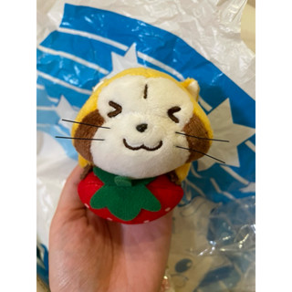 ⭐️瘋娃舖⭐️小浣熊 Rascal 拉斯卡爾世界名作劇場 草莓小浣熊 小浣熊娃娃 小浣熊景品 小小浣熊 生日禮物