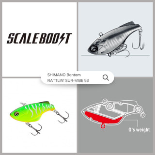 海天龍釣魚用品~【SHIMANO Bantam RATTLIN' SUR-VIBE 53 ZV-106Q】假餌 路亞