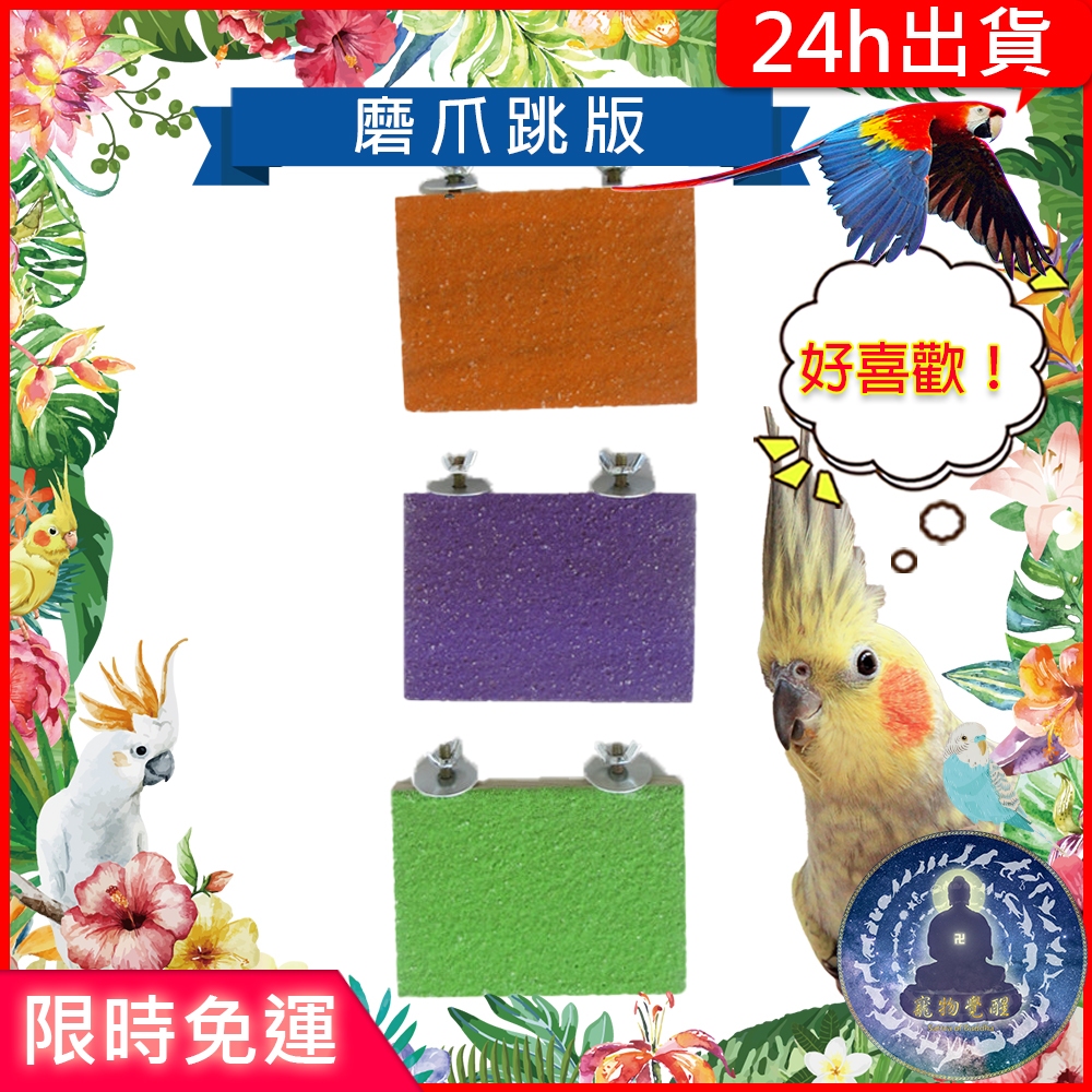 【寵物覺醒24h出貨】鸚鵡方型磨砂跳板站台鸚鵡玩具鸚鵡用品