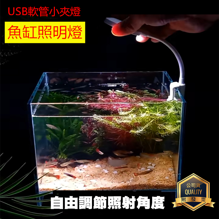 USB軟管小夾燈 小型夾燈 魚缸照明燈 水族燈 小缸燈具 圓形缸夾燈 小夜燈 床頭燈 補光燈 自拍 護眼檯燈