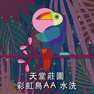 【裡德咖啡】新幾內亞 天堂莊園 彩虹鳥 AA 水洗 中焙 中烘焙 咖啡豆 咖啡粉 濾掛咖啡