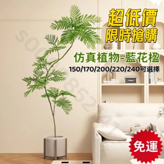 【限時特惠 免運含稅】仿真植物藍花楹高階輕奢仿生綠植假樹盆栽室內客廳落地裝飾擺件 仿真植物 假花盆栽 模擬盆栽 室內盆栽