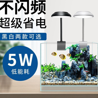 水族箱魚缸夾燈 LED夾燈 USB夾燈 水族燈具 水族照明 【現貨天天出】