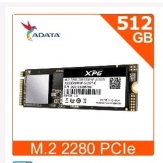 ADATA威剛 XPG SX8200Pro 512G M.2 2280 PCIe SSD固態硬碟(二手且功能正常)