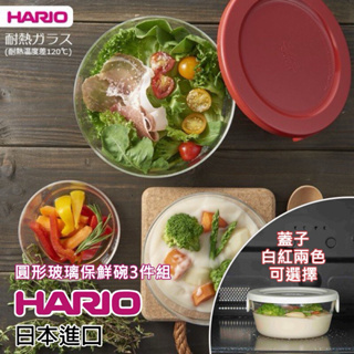 《海牛日貨》日本製 HARIO MST-3018 耐熱 玻璃 保鮮盒 3入組 微波盒 便當盒 微波爐 洗碗機 烘碗機