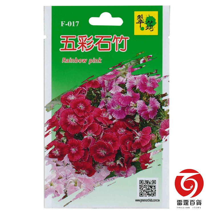 F017五彩石竹/花卉種子/雷霆百貨