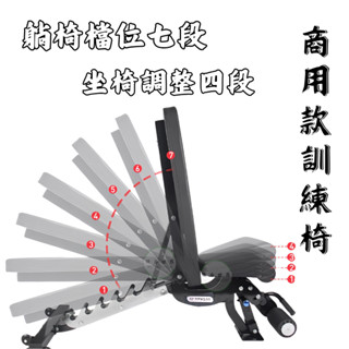 臺灣現貨🎊 SP-3000商用健身椅 管材厚 穩定 可調式健身椅 健身椅 啞鈴椅 臥推椅 胸推椅 多功能健身椅 重訓椅