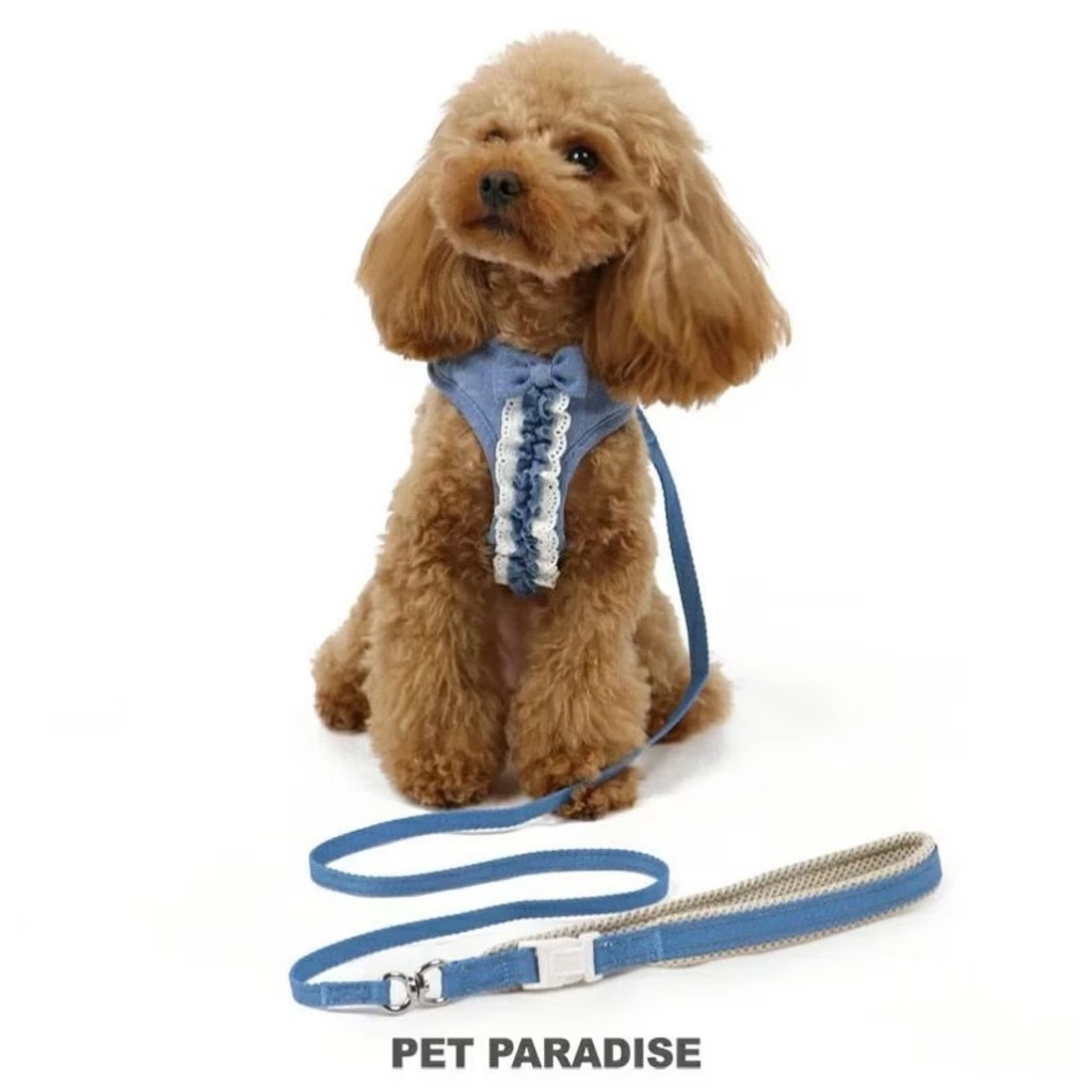 【PET PARADISE】寵物一體成形外出胸背/牽繩不可拆 (3S)｜PP 2021新款 寵物精品