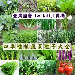 🔥✨【蔬菜種子】空心菜種子 長豆角種子抱子甘藍 包心菜 兒菜種子紅豇豆種子 黃瓜 蘆筍 葫蘆茄子生菜菠菜小蔥茼蒿番茄香菜