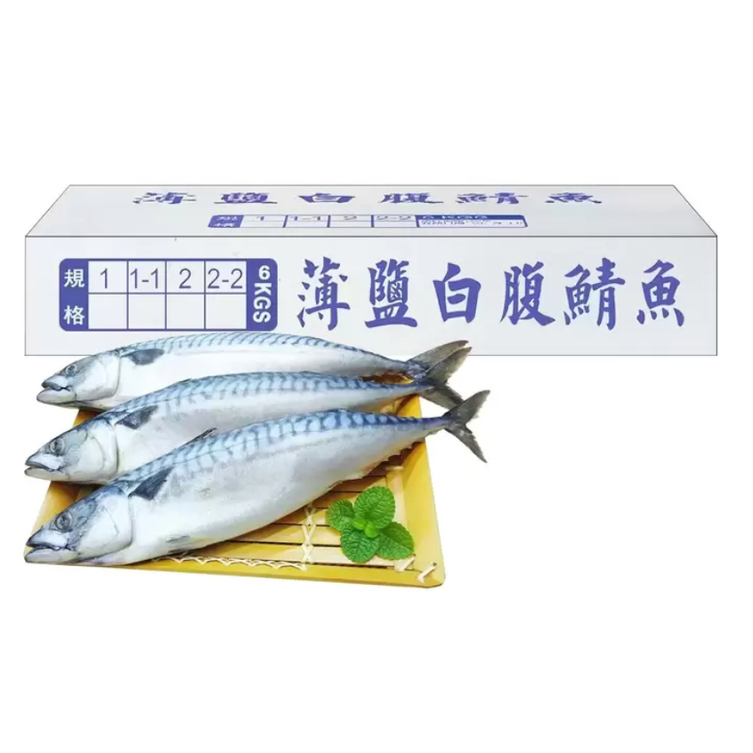 『宅配免運！』冷凍薄鹽白腹鯖魚 6公斤
