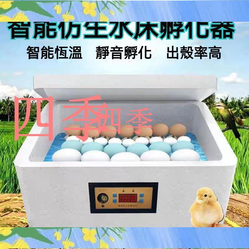 110V 12V 雙電 半自動孵化器 孵蛋機 智能型傢用孵蛋器 照蛋燈 智能水牀 小型  孵蛋器 孵化箱