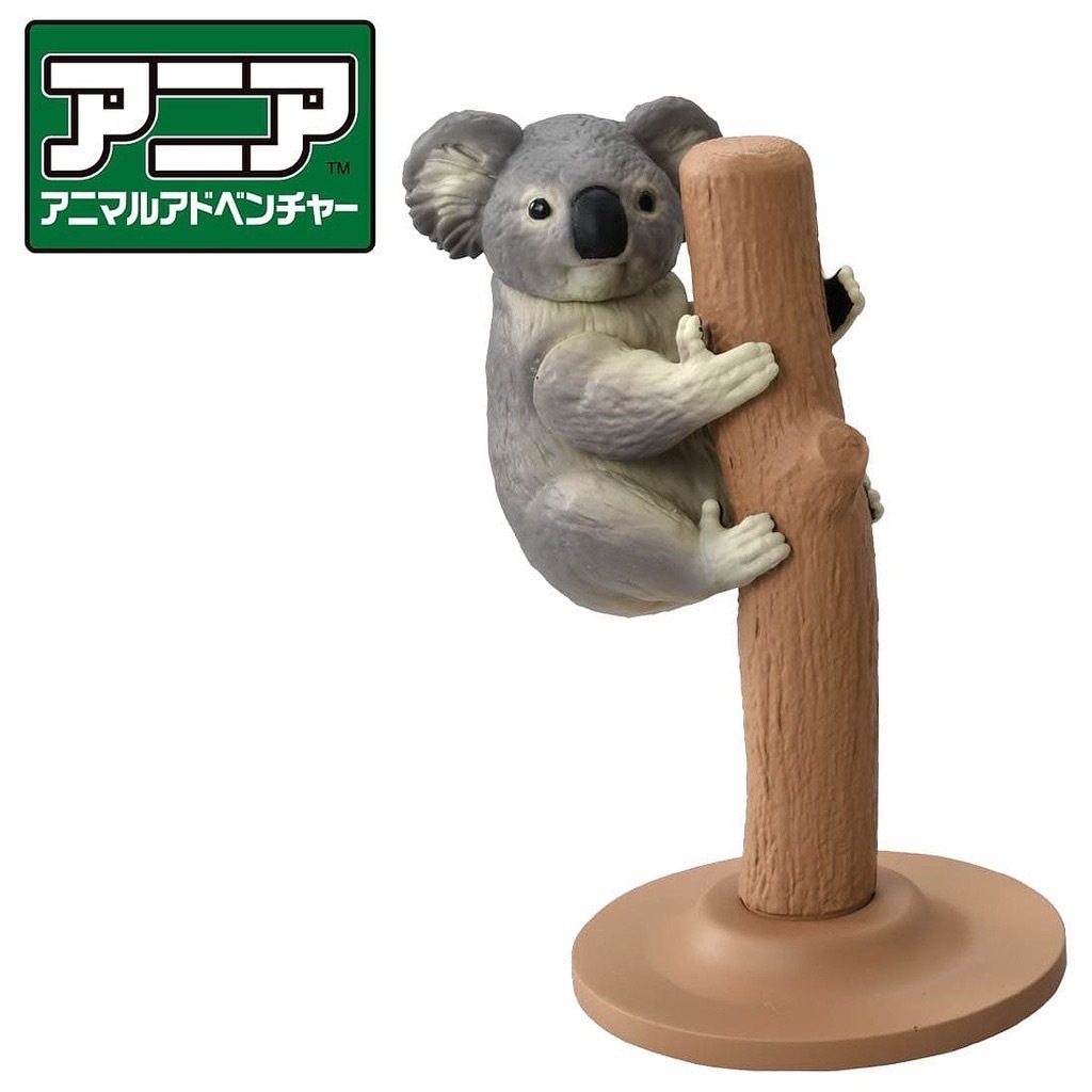 【玩具俱樂部🪐】TAKARA TOMY 多美動物園 無尾熊 AS-24