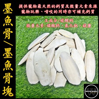 水模型水族#墨魚骨 墨魚骨塊 鸚鵡 陸龜 澤龜 墨魚骨串 墨魚骨鳥玩具 補鈣 爬蟲補鈣 爬蟲鈣粉 爬蟲鈣粉 蜜袋鼯 D3