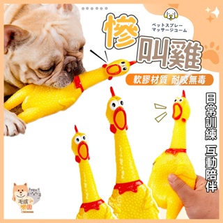 【台灣發貨 滿額免運】慘叫雞發聲玩具 發洩雞 怪叫雞 啾啾雞 尖叫雞 慘叫雞 發聲玩具 寵物磨牙 磨牙玩具 寵物玩具