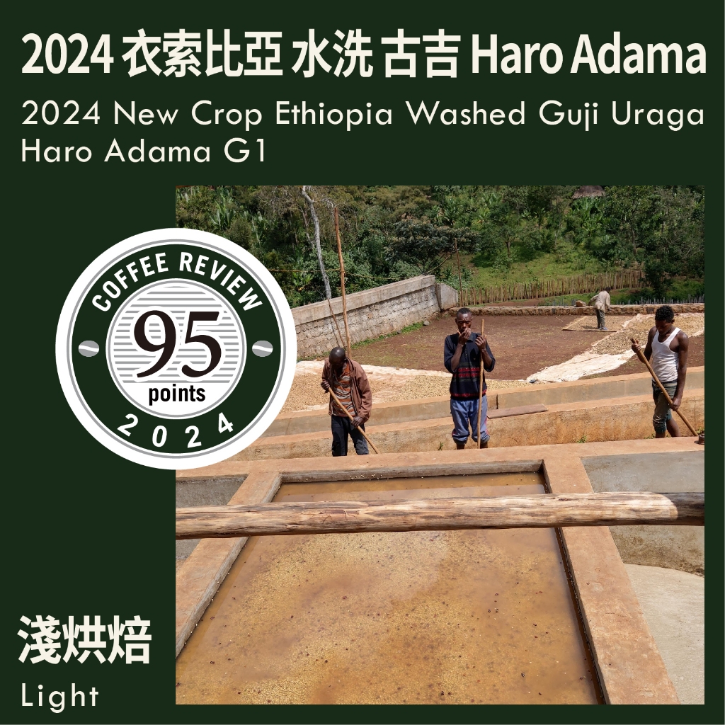 KaKaLove 咖啡- CR95-2024新產季 衣索比亞 水洗 古吉 烏拉嘎 Haro Adama G1 0.5磅