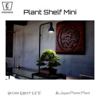 🇯🇵 Plant Shelf Mini (S) Helios Green LED JPP KINOHACHI