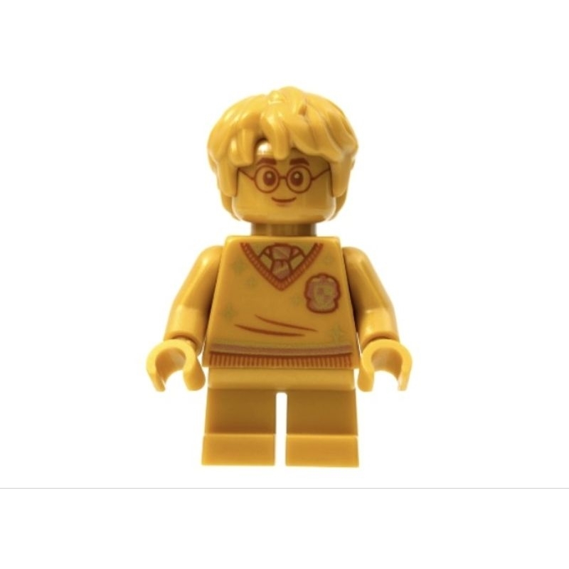 LEGO樂高 哈利波特 76386 變身水失誤 Polyjuice Potion Mistake 人偶拆賣