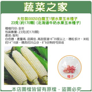 【蔬菜之家滿額免運】00G50.大包裝.白龍王1號水果玉米種子23克(約170顆)(北海道牛奶水果玉米種子)