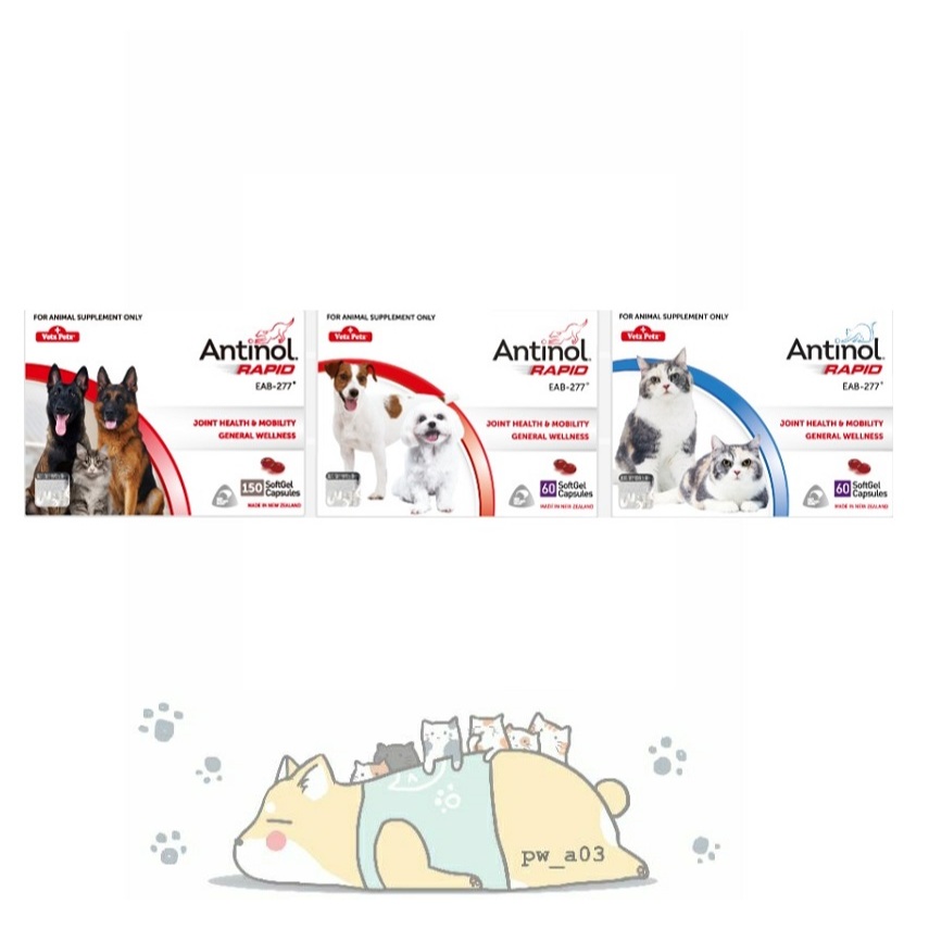 Antinol Rapid 安適得 酷版 犬貓通用 關節 心血管 皮膚 保健