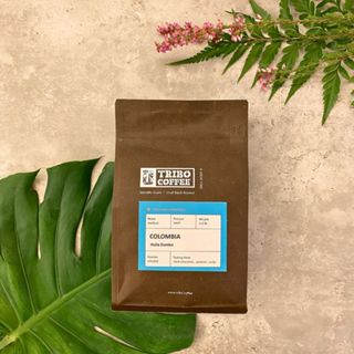 TRIBO COFFEE - 精品咖啡豆│ 哥倫比亞 小飛象 水洗 中焙 (半磅)