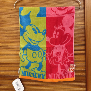東京迪士尼購入長毛巾米奇米妮唐老鴨黛西