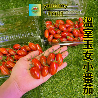溫室玉女小番茄甜好吃皮薄每盒600g- YUMMY FRUIT