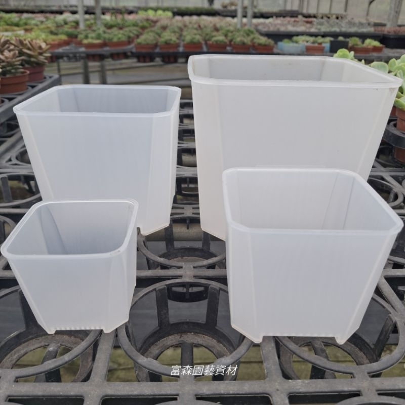 矮版透氣盆　透明　3吋/4吋/5吋/6吋　（塑膠盆）多肉植物專用透氣盆（很好用的觀察盆）盆器  園藝 花盆 盆栽 基本款