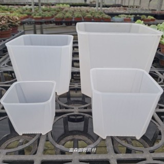 矮版透氣盆 透明 3吋/4吋/5吋/6吋 （塑膠盆）多肉植物專用透氣盆（很好用的觀察盆）盆器 園藝 花盆 盆栽 基本款
