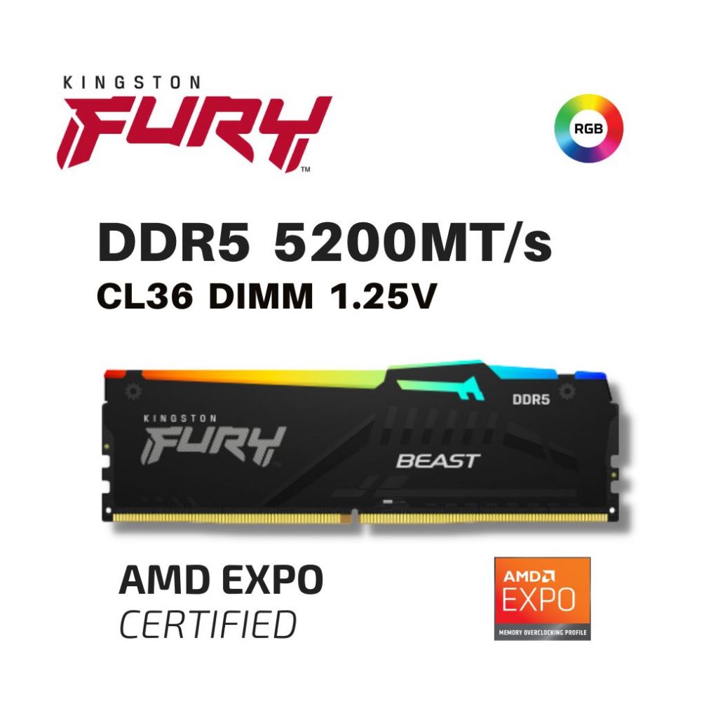 金士頓 KINGSTON DDR5 5200 獸獵者系列RGB記憶體 單支裝 2支裝 (KF552C36BBEA-16)