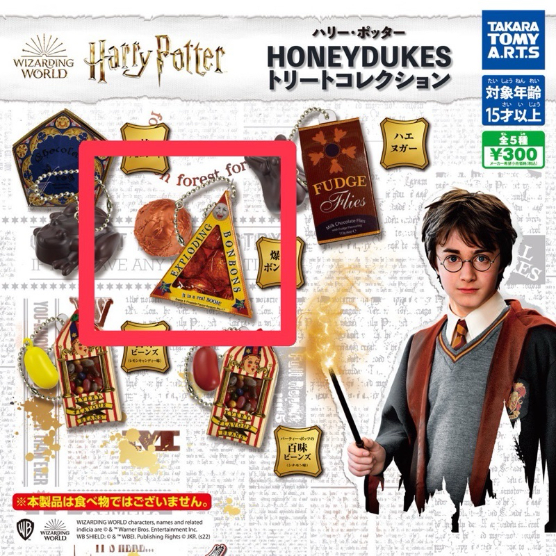 哈利波特 蜂蜜公爵點心吊飾 扭蛋 轉蛋 玩具 盒玩 Harry Potter Honey Dukes