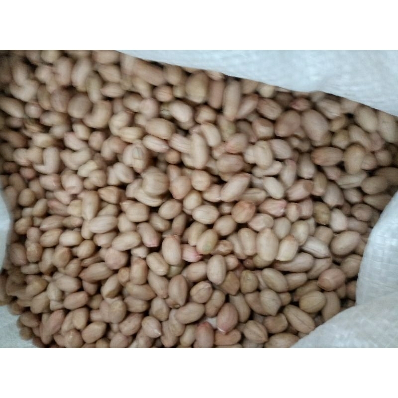 BLULILI-KACANG TANAH MENTAH 300g