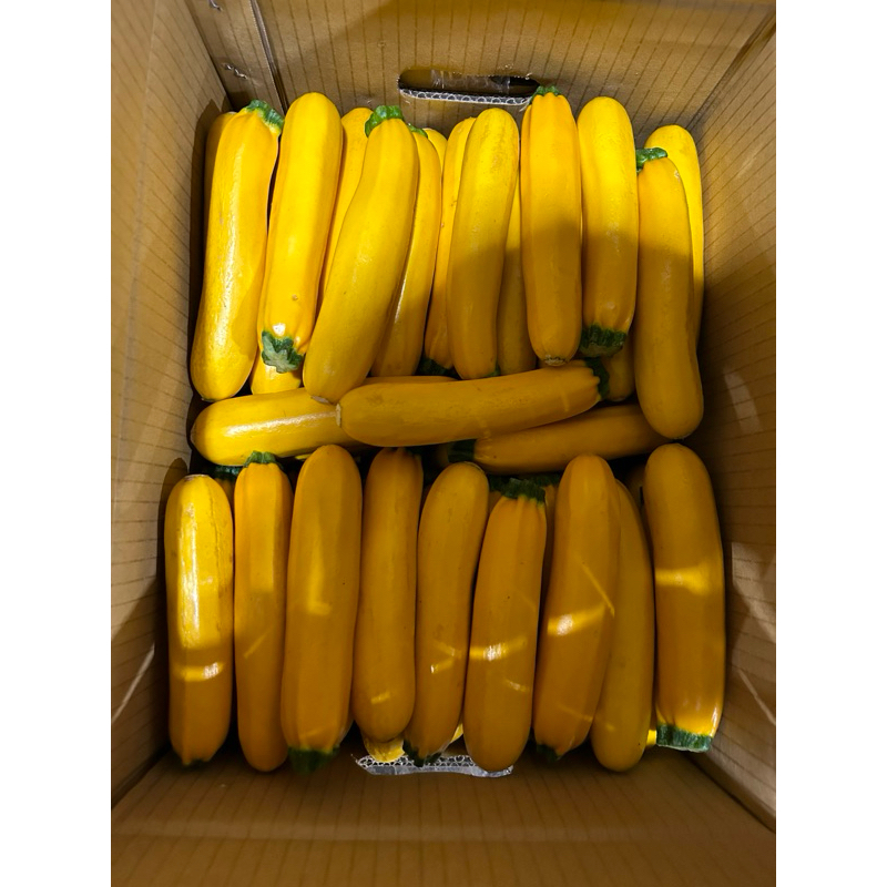 黃色節瓜一箱16台斤